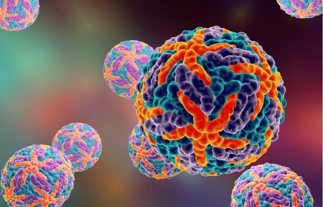 Image en gros plan de structures virales colorées, montrant des détails complexes de leur surface au microscope électronique